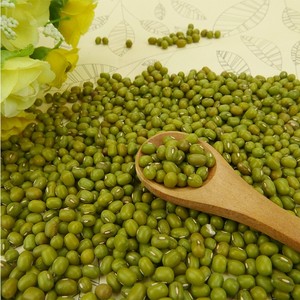 VIETNAMESE GREEN MUNG <b>BEANS</b>/HIGH QUALITY and BEST PRICE - Product Image 5