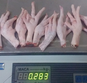 Venta Caliente: Patas de Pollo Congeladas Halal de Primera Calidad con Vitaminas, envasadas al Vacío para Consumo Humano - Product Image 2