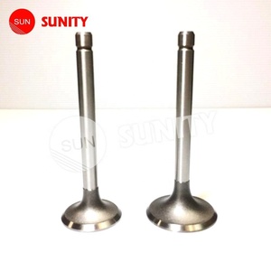 Reemplazo de repuestos diesel de alta precisión Resistencia al calor Válvula Oem - Product Image 1