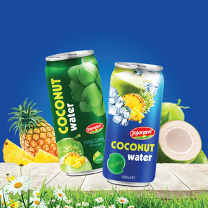 JOJONAVI Bebidas de agua de coco con bajo contenido de azúcar Procesamiento natural Sabor a mango Naranja Manzana OEM ODM Precio al por mayor Botella - Product Image 3