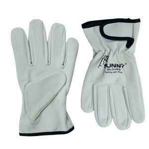 Gants de travail / de conduite en cuir de chèvre grainé de qualité A gris - Product Image 1