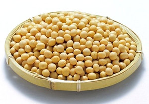 MEILLEUR PRIX POUR LA PULVÉRISATION DE PROTÉINES DE SOJA DES ÉTATS-UNIS / ALIMENTATION FUNCTIONNELLE - Product Image 2
