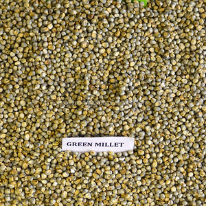 ลูกเดือยสีเขียวเกรดสูงสำหรับการบริโภคของมนุษย์ - Product Image 5