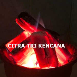 APPLE FRUIT CHARCOAL BURNING TIME 2-3 HOURS, GRADE SUPER A BEST INDONESIA CHARCOAL, FOR BBQ CHARCOAL IN Ufa RUSIA - Product Image 1
