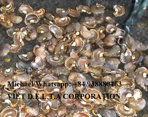 CHEAP CASHEW <b>NUT</b> SHELLS RESIDUE - Product Image 2