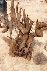 รากไม้ธรรมชาติสำหรับตู้ปลาพิพิธภัณฑ์สัตว์น้ำพิพิธภัณฑ์สัตว์น้ำ Terrarium - Product Image 3