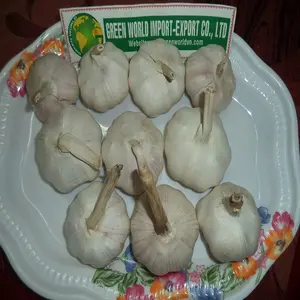 GARLIC WITH HIGHEST QUALITY AND BEST PRICE