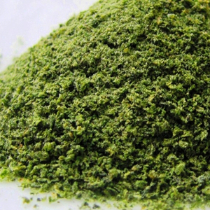 Poudre d'algues en vrac, prix des algues séchées, vacances - Product Image 1