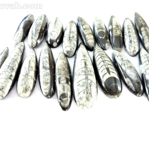 Cabujón de Piedra Preciosa Natural de Orhoceras para Hacer Joyas y Colgantes - Product Image 2