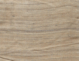 Cubierta de almacenamiento para camión azul plateado de tela tejida de PVC doble resistente al agua Max GSM Technics, tapicería artesanal lisa - Product Image 6