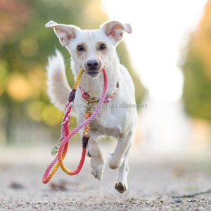Collar para Perro Ombre Hecho a Mano, Correa para Perro Teñida a Mano, Correa para Perro Rosa y Naranja, Correa para Perro con Tinte Degradado - Product Image 1