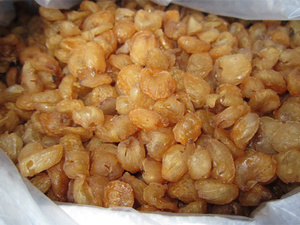 Fruits secs au Vietnam-fruits longs - Product Image 4