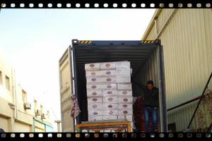 5kg Macaroni Shortcut Pasta nhãn hiệu riêng Halal chứng nhận túi/Hộp bao bì Ai Cập Xuất xứ vận chuyển để bahrain & Quốc Tế - Product Image 6