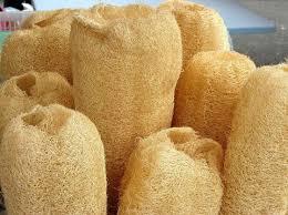 Éponges LUFFA/LUFFA de haute qualité et bon marché - Product Image 6