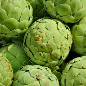 เวียดนามขายส่งแห้งอาร์ติโช้คชา - Product Image 3