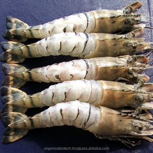 Conservante probiótico de grado de alimentación animal en forma de polvo para criadero de acuicultura en Noruega - Product Image 3