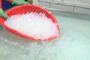 วุ้นมะพร้าวธรรมชาติ - Product Image 5