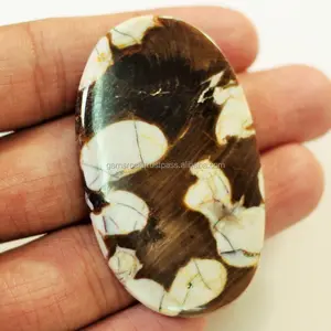 100% cabochon berbentuk campuran kayu kacang Australia alami dalam semua ukuran batu permata longgar kayu kacang coklat mulia dalam jumlah besar