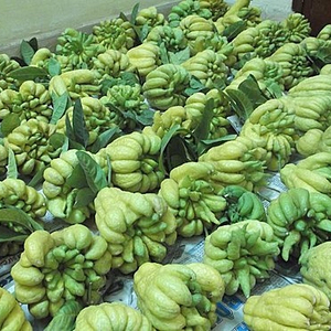 Buddah Fingers ส้ม - Product Image 5