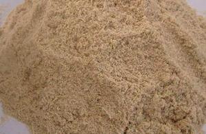 WOOD SAWDUST/BEST MATERIAL for <b>PLANTING</b> 2024 Best Price - Product Image 5