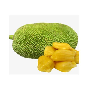 ขนุนสด ราคาดีที่สุด คุณภาพเยี่ยม 84845639639 - Product Image 1
