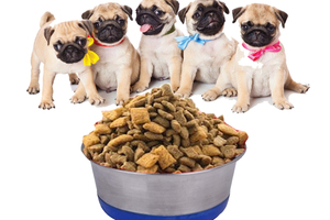 Cuenco para mascotas ecológico de acero inoxidable de 900ml con construcción de hierro duradero Cuencos y comederos para mascotas Premium - Product Image 4