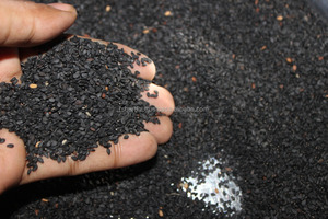 Huile de graines de sésame noir extra vierge pressée à froid de qualité supérieure 2021 - Product Image 5