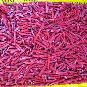 Pimiento Rojo de Pekín, Chile Fresco y Congelado - Product Image 1