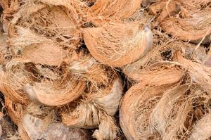 Fibra de coco/Harina de coco orgánica de Vietnam, Contacto: + 84-907 377 828 ( Viber/ whatsapp/zalo), gran oferta - Product Image 4