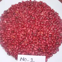 KIDNEY BEANS WITH COMPETITIVE PRICES