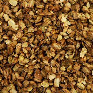 Compre aceite de raíz de Angélica natural para usos multiusos Fabricación de aceite de grado natural en India para exportación Aceite de raíz de Angélica - Product Image 3