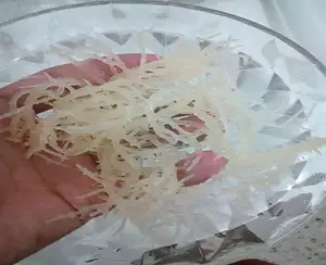 Algues marines séchées Kappaphycus Alvarezii 100% naturelles Fabriquées au Vietnam - Product Image 1