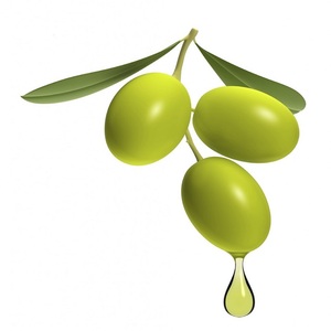 Azeite orgânico 100% puro e natural para crescimento de cabelo e uso cosmético óleos certificados orgânicos