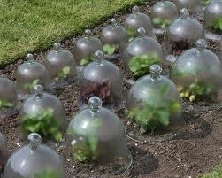 AIC Home Decor Clear <b>Glass</b> <b>Dome</b> with Knob in Art Deco Style for Stylish Interior Design - Product Image 5