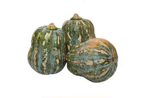 ¡CALIDAD SUPERIOR! OFERTA DE CALABAZA FRESCA VIETNAMITA DE ALTA CALIDAD Y AL MEJOR PRECIO - Product Image 3