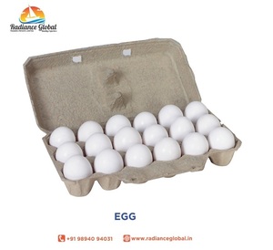 Huevos de Gallina Blancos de la Mejor Calidad - Product Image 2