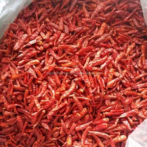 RED BIG, SMALL PEPPER FRESH, FROZEN, DRIED- HIGH QUALITY, TOP CHEAP PRICE NOW