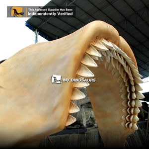 Modèle de squelette de mâchoire de <span class=keywords><strong>mégalodon</strong></span> géant incroyable MY DINO à vendre - Product Image 3