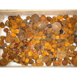 Cálculos Biliares de Buey (Cálculos Biliares de Ganado) Naturales y Puros de Alta Calidad, Grado A, 60% de Proteína de Melitina para Uso Alimentario - Product Image 1