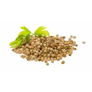 Aceite esencial de cilantro puro 100%, aceite de semilla de Coriandrum Sativum para el cuidado de la piel, masaje, saborizante de alimentos, cáscara de La India, grado crudo de exportación - Product Image 3