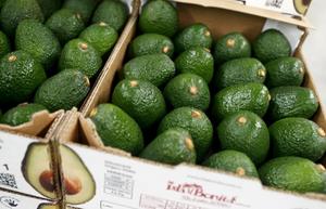 Aguacates Hass y Fuerte Congelados de Primera Calidad y Económicos de Sudáfrica, Certificados ISO/GAP/PHYTO - Product Image 4