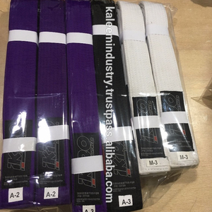 Ceintures de rang de couleur Jiu Jitsu personnalisées BJJ Judo Martial Arts Wear - Product Image 1