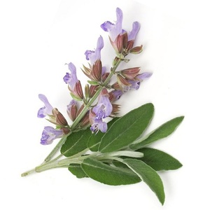 Huile Essentielle de Sauge Sclarée Bio Pure 10ml Distillée à la Vapeur Nettoyage des Pores Éclaircissante Raffermissante Bouteille Orange Certifiée BPF Soin de la Peau - Product Image 2