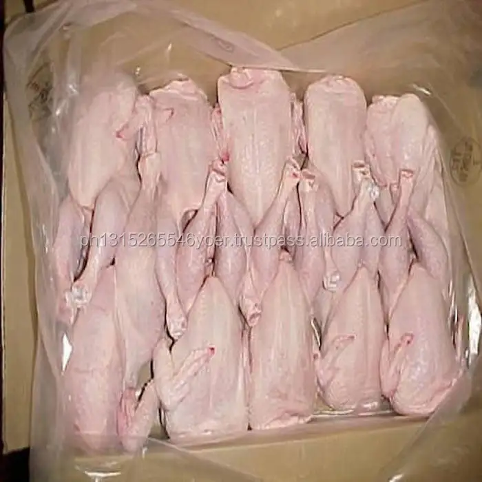 Poulet glacé, 20 pièces, offre spéciale