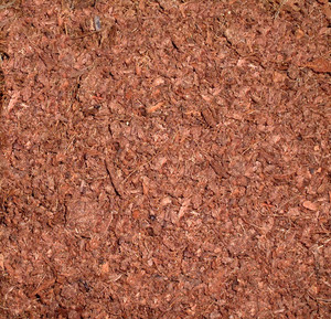 COCOPEAT, turba de coco, precio de COCOPEAT para cultivo de jardín - Product Image 2