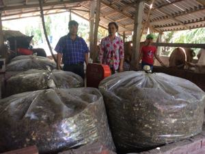 Ensilage en polypropylène/maïs déshydraté pour bovins 'Ms: Holiday - Product Image 6