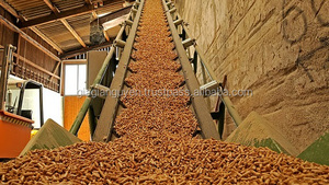 Bolitas de madera de VIETNAM, buen precio - Product Image 4