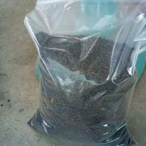 <b>Organic</b> Compost <b>Fertilizer</b> Plant Source Granular State Controlled Release Comprising Compost and Guano for 2020 - Product Image 2