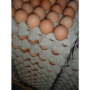 Huevos Frescos de Color Amarillo Brillante, Origen ZA, Empaque OEM, Bajo Precio, 60g, 6 Meses de Vida Útil - Product Image 3