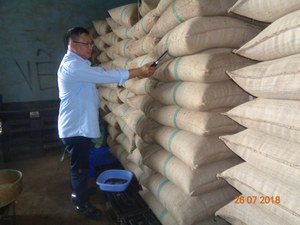พริกไทยดำเวียดนามลดราคาพิเศษ 500GL 550GL ผ่านการคัดแยกด้วยเครื่องจักร สะอาด 100% ธรรมชาติ ขายส่งจำนวนมาก ส่งออก - Product Image 4